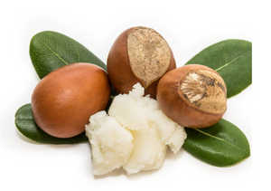 Organic Shea Butter